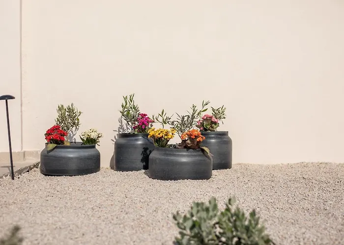 Ariadne * גנאדי