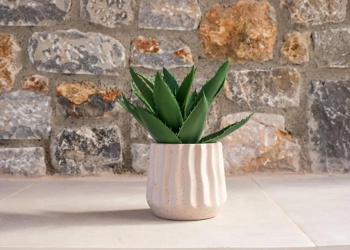 Ariadne Willa Jenadi